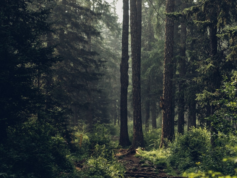 أرض للبيع في مرسى مطروح